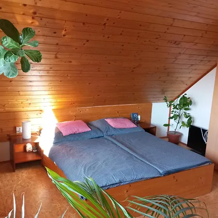 Apík U Milušky * Mikulovice (Jesenik)